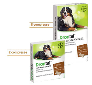 Drontal multi ar carne xl*8cpr