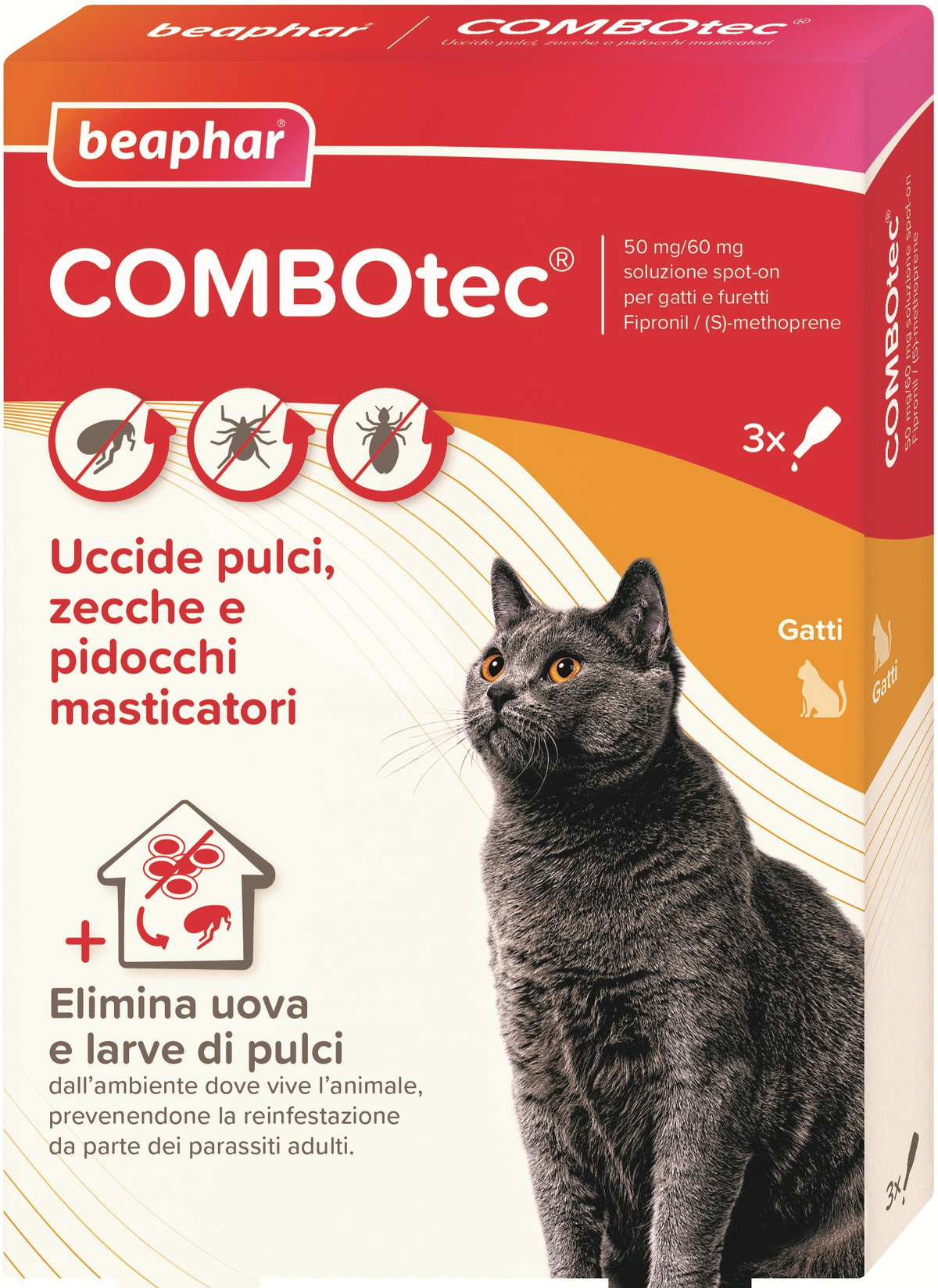 Combotec*3pip gatti/furet