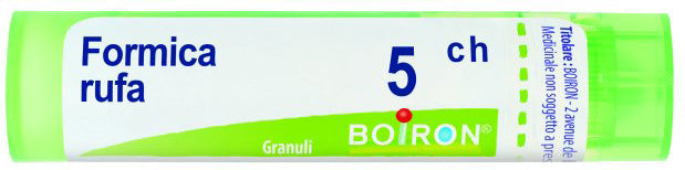 Formica rufa 5ch gr