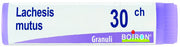 Lachesis mut 30ch gl