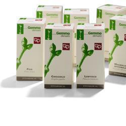 Faggio macerato glicerico 50 ml