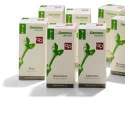 Olmo macerato glicerico 50 ml