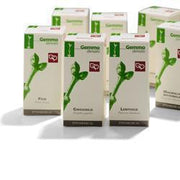 Cisto macerato glicerico 100 ml
