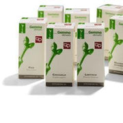 Ginkgo biloba macerato glicerico 100 ml