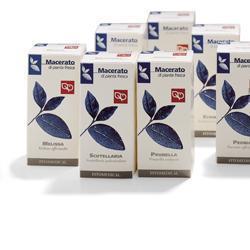 Enula tintura madre 50 ml