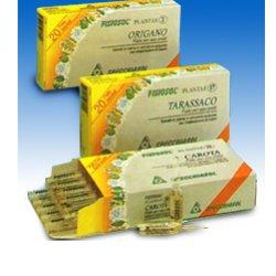 Fisiosol pl angelica 20f