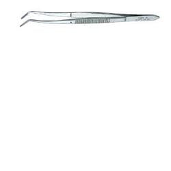 Pinza medicazione dentaria