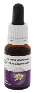 Yellow leschenaultia 15ml aust