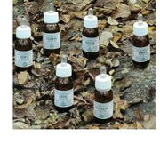 Ka7 olio massaggio 30 ml