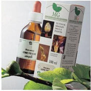 Betulla macerato glicerico 100 ml