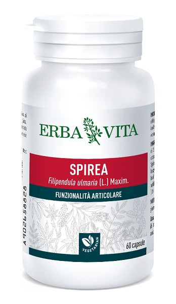 Spirea ulmaria 60 capsule 400 mg