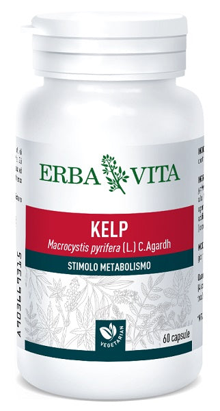 Kelp 60 capsule 500 mg