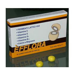 Efflora 15 confetti