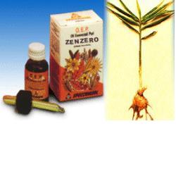 Zenzero olio essenziale puro 10 ml