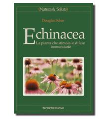 Echinacea