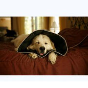 Comfy cone collare elisabettiano innovativo s diametro 12,5 cm