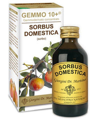 Sorbo analco gemmo 10+ 100 ml