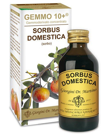 Sorbo analco gemmo 10+ 100 ml