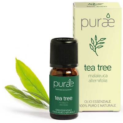 Purae olio essenziale albero tea foglie 10 ml