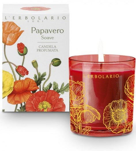Papavero soave candela