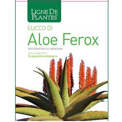 Aloe ferox biologico 1 litro