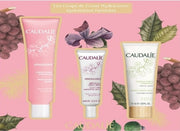Vinosource cofanetto sorbetto 2019 crema sorbetto 40 ml + siero 10 ml + maschera viso idratante 15 ml