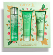 Cofanetto acqua fresca eau de vigne 2020 acqua fresca 50 ml + crema corpo 50 ml + gel doccia 50 ml
