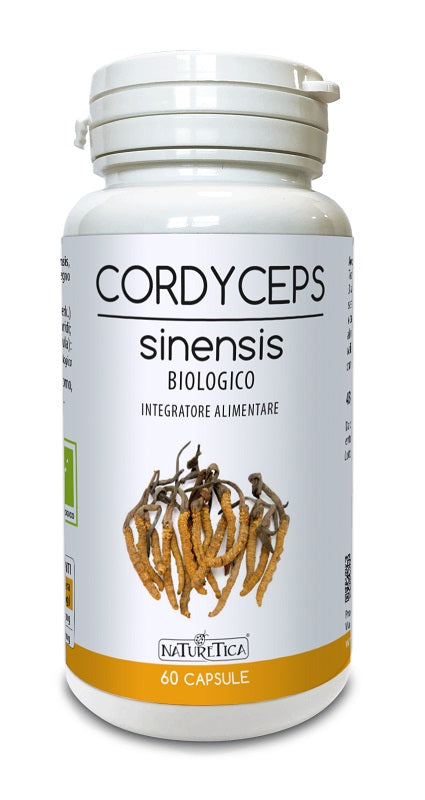 Cordyceps sinensis 60 capsule