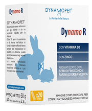 Dynamo r 20 stick da 2,5 g